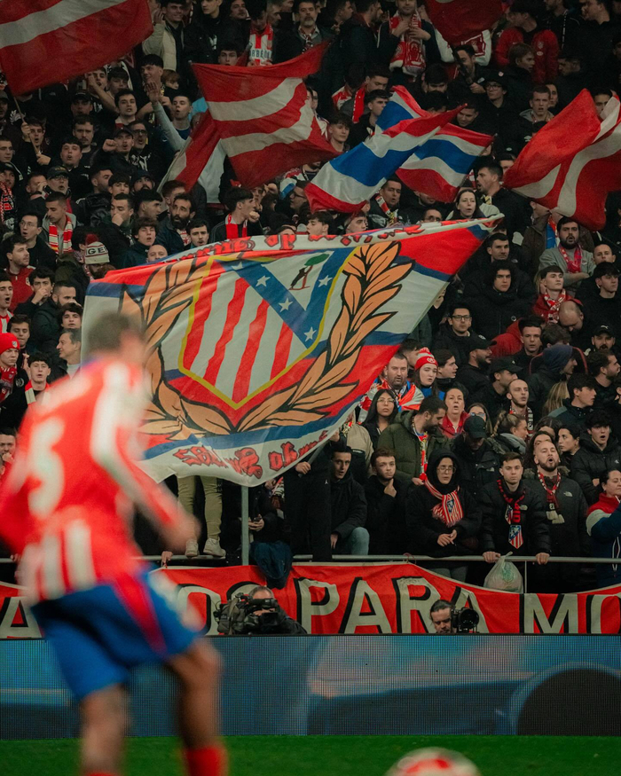 德甲战报：伯格1射1传，霍芬海姆3-0完胜奥格斯堡（德甲速报：伯格传射建功，霍芬海姆3-0击败奥格斯堡）