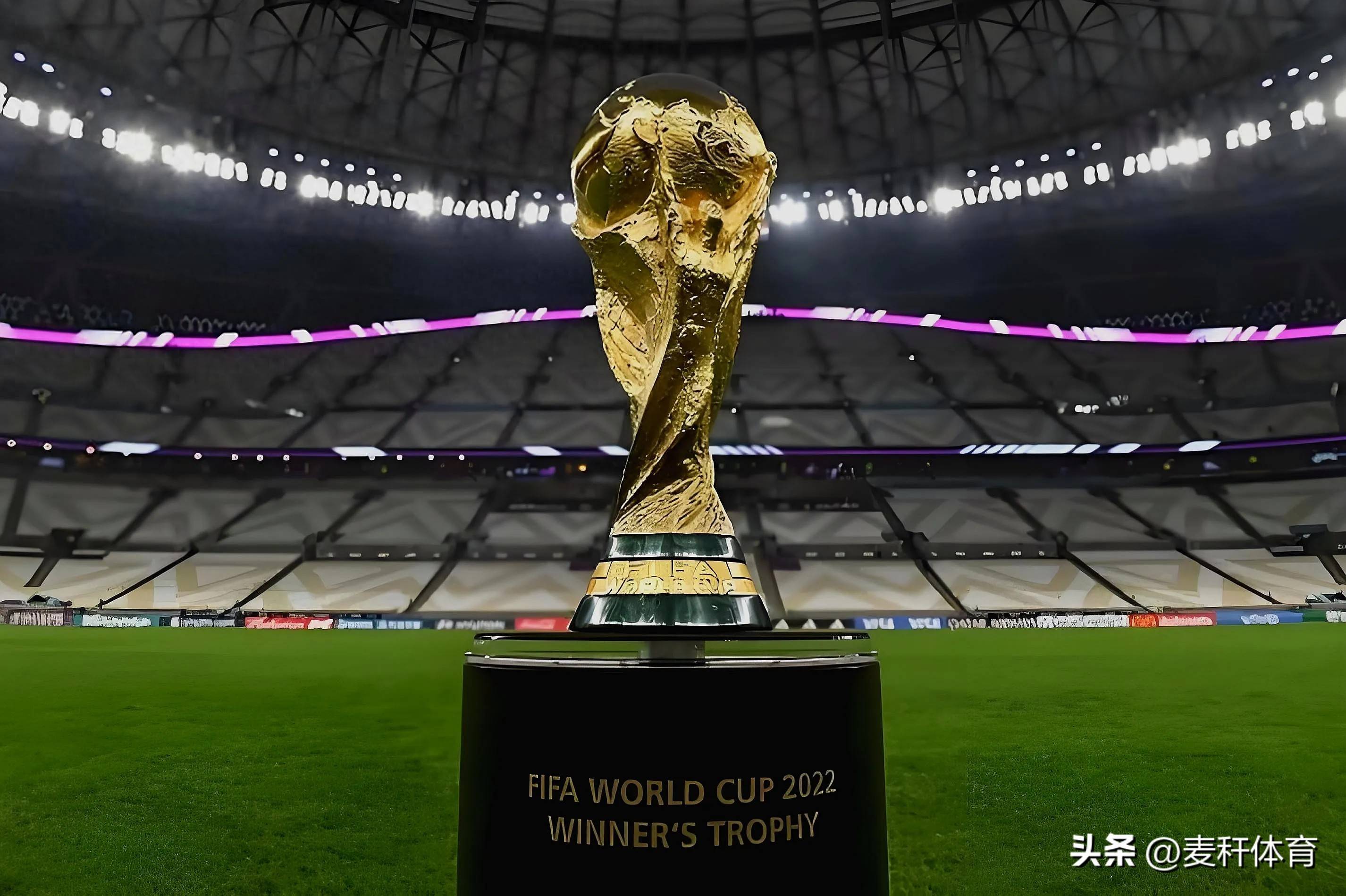 球队的整体 球队的整体