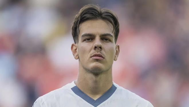 帕尔默领导 帕尔默领导